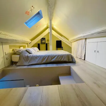 Appartement Magnifique & Atypique Aux Portes Du Chateau